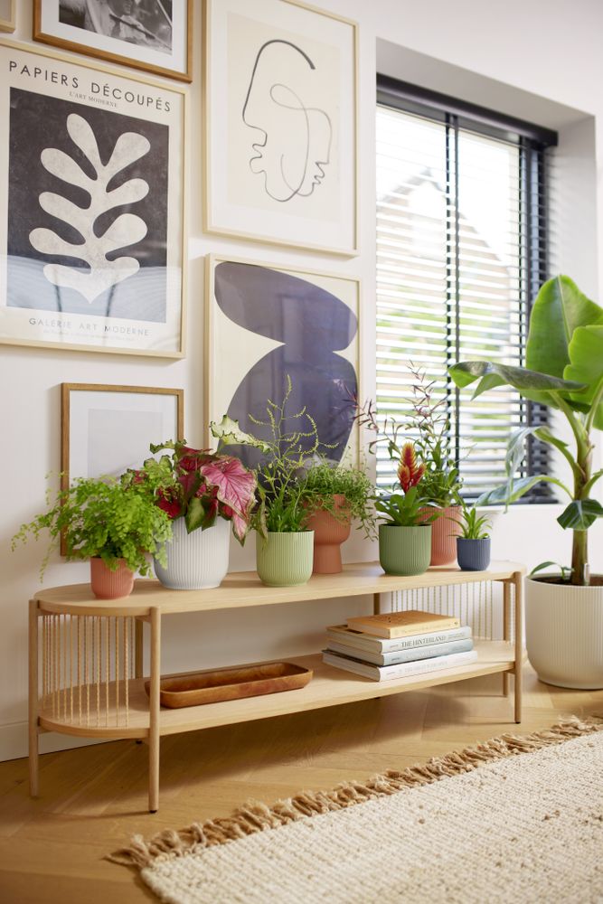 Vibes Fold Rond Mini 9