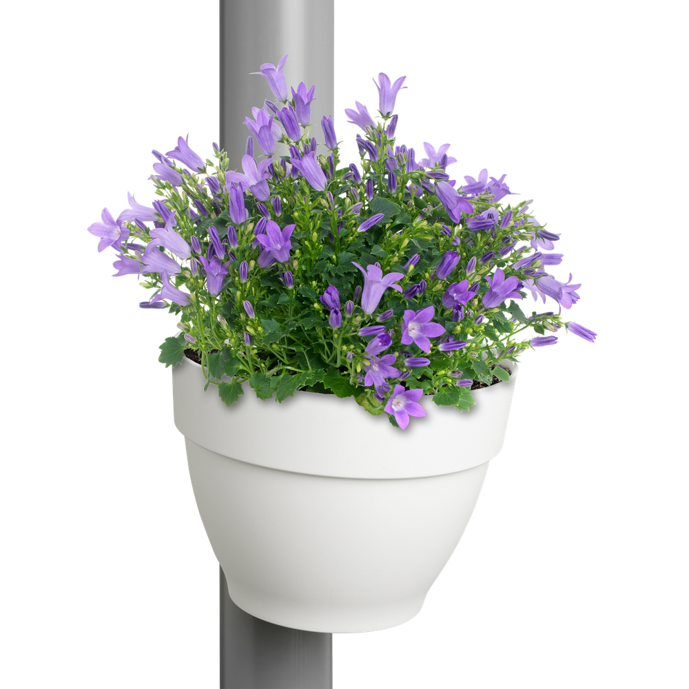 BNDL Vibia C. Regenpijpbakje X 3