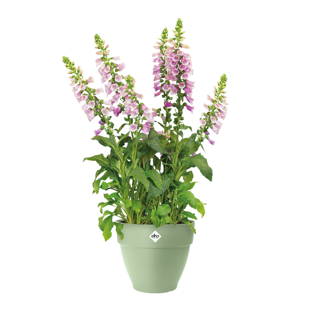 Vibia Campana Rond 47