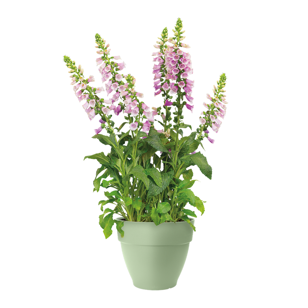 Vibia Campana Rond 47