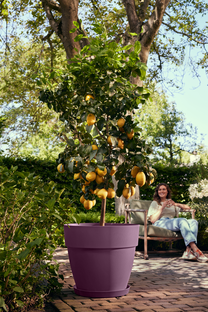 Vibia Campana Rond 47