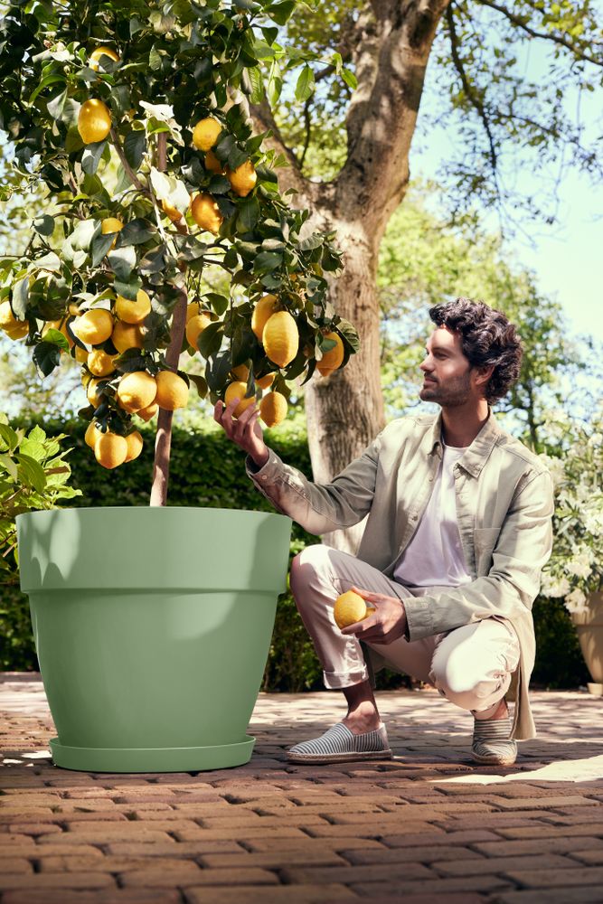 Vibia Campana Rond 47