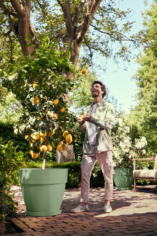 Vibia Campana Rond 47