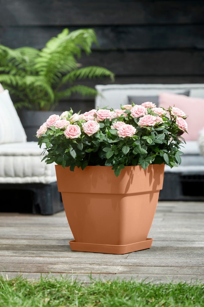 Loft Urban Schotel Vierkant 22