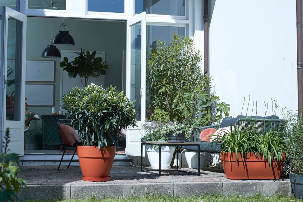 Vibia Campana Schaal 34