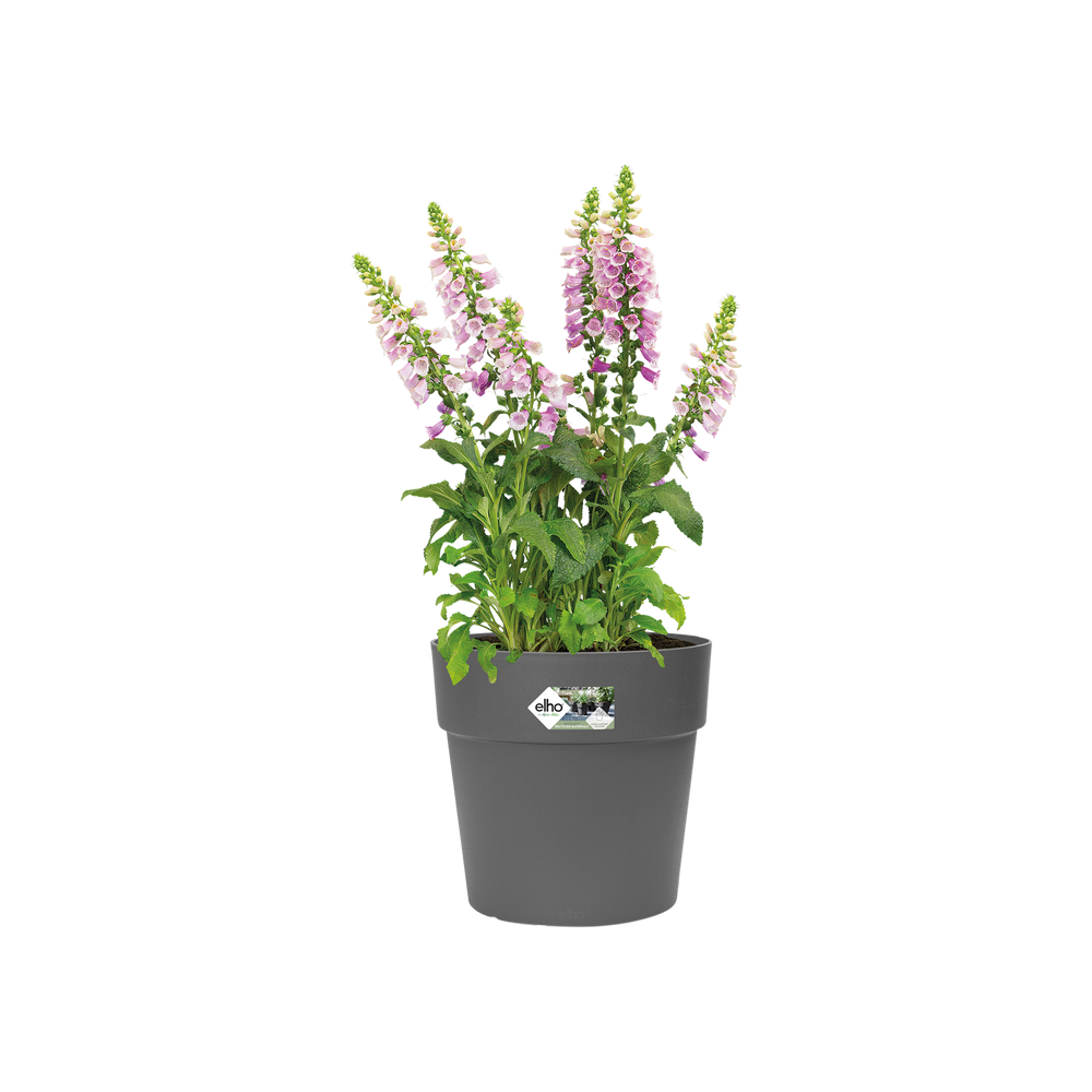 Vibia Straight Rond 25