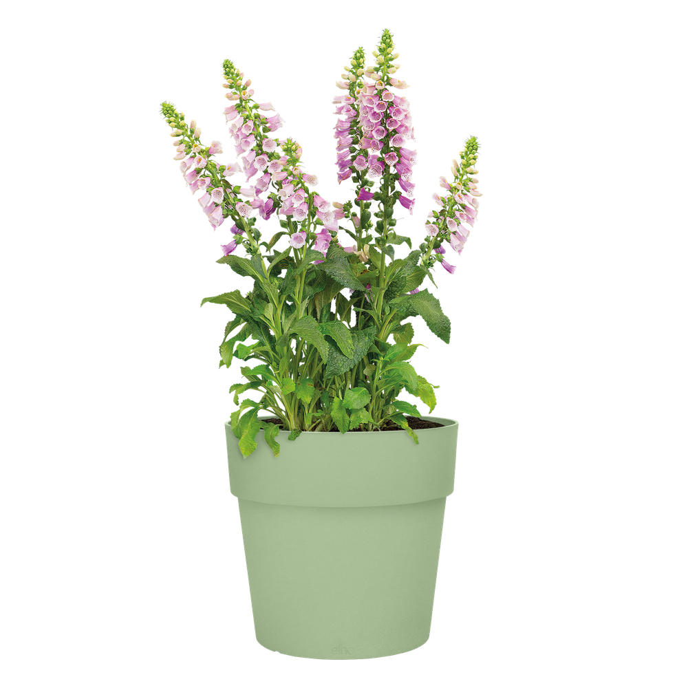 Vibia Straight Rond 40