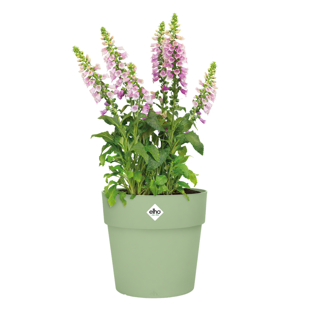 Vibia Straight Rond 47